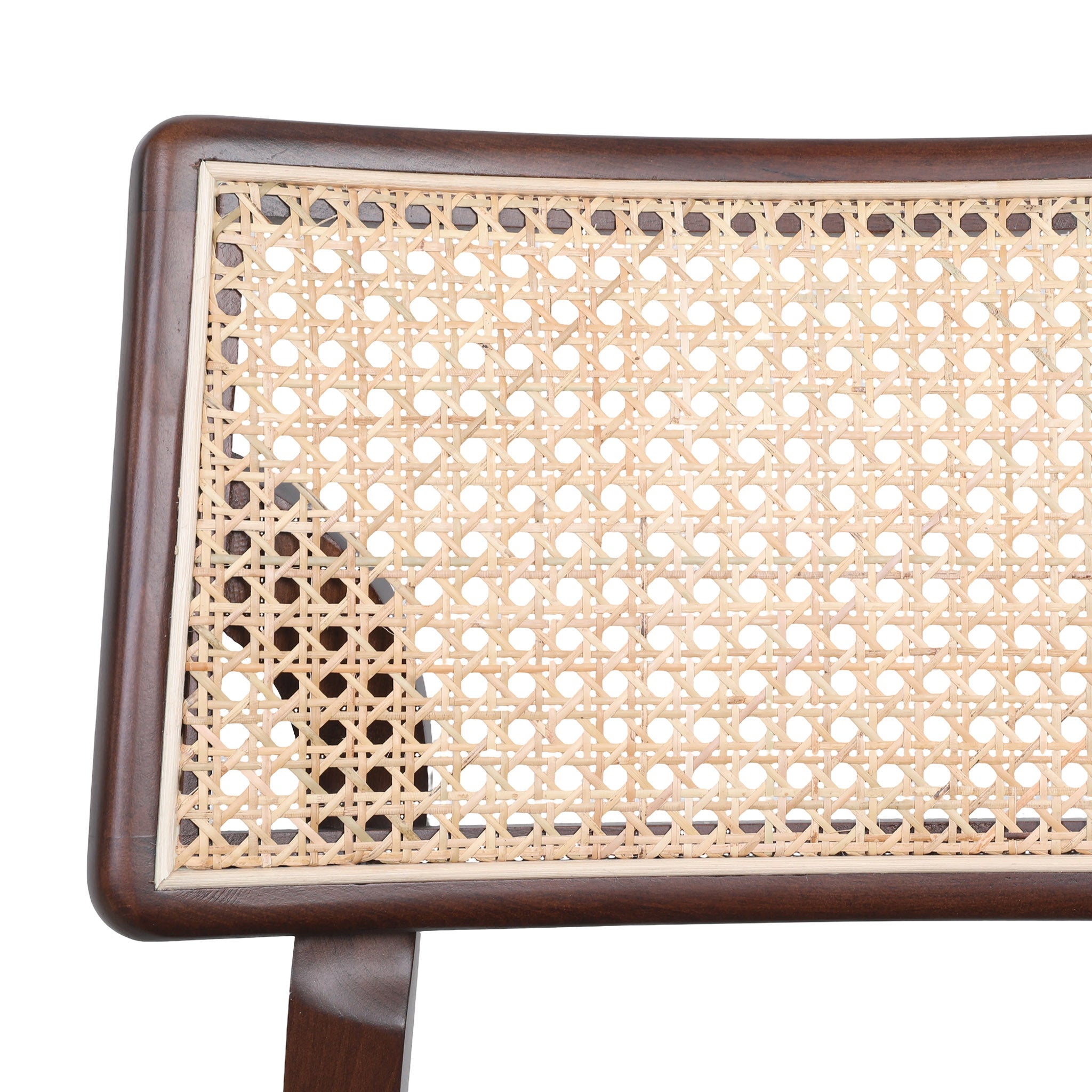 Silla de Comedor Rova - LENA-160